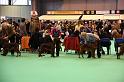 Crufts2010 1102